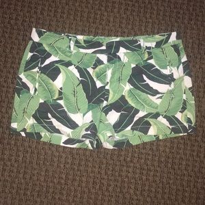 Women’s shorts size 10